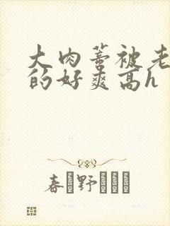 大肉蒂被老头嘬的好爽高h封面
