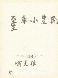 至尊小农民王木生