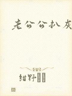 老公公扒灰小说封面