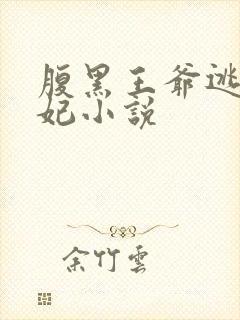 腹黑王爷逃跑王妃小说