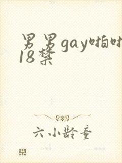 男男gay啪啪18禁封面