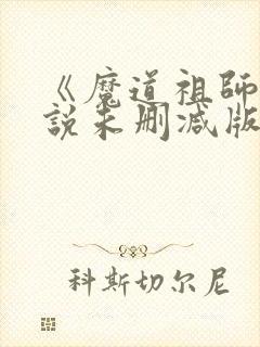 《魔道祖师》小说未删减版