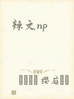 辣文np