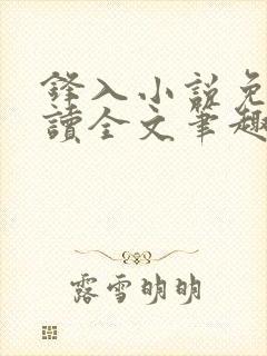 锋入小说免费阅读全文笔趣阁