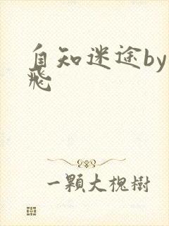 自知迷途by二飞