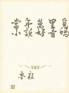 当年万里觅封侯小说好看吗