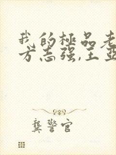 我的极品老婆(方志强,王亚欣)