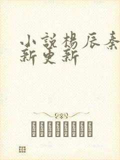 小说杨辰秦惜最新更新