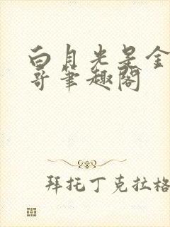 白月光是金主他哥笔趣阁