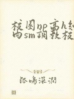 校园np高h纯肉sm调教校花