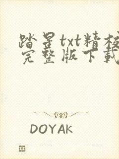 踏星txt精校完整版下载封面