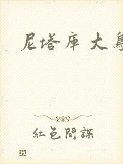 尼塔库 大鸟封面