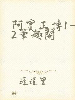 阿宾正传1—72笔趣阁