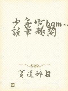 少年啊bgm小说笔趣阁