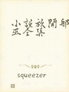 小说放开那个女巫全集