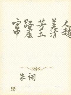 官路芳美人刘志中卢玉清赵嫣张宏阳封面