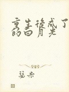 重生后成了皇帝的白月光