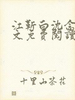 江靳白沈念笙全文免费阅读封面