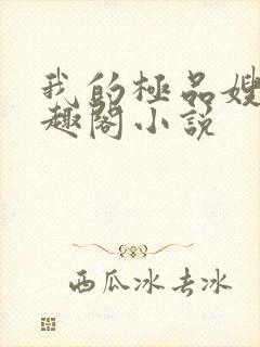 我的极品嫂嫂笔趣阁小说封面