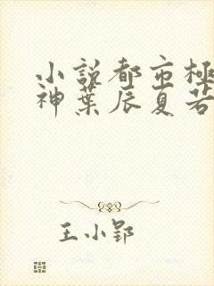 小说都市极品医神叶辰夏若雪孙怡封面