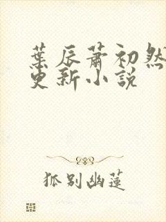 叶辰萧初然最快更新小说