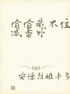 偷偷藏不住未删减番外