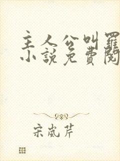 主人公叫罗铮的小说免费阅读笔趣阁