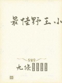 最佳野王小说封面