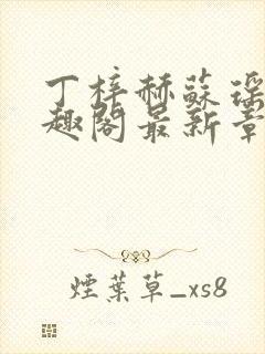 丁梓赫苏瑶馨笔趣阁最新章节封面