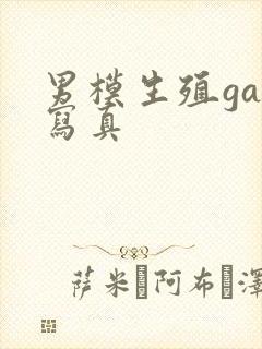 男模生殖gay写真