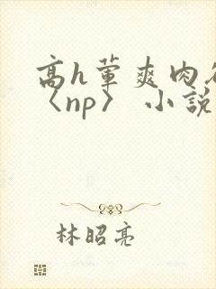 高h荤爽肉欲文〈np〉 小说封面