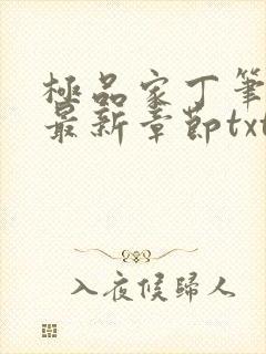 极品家丁笔趣阁最新章节txt封面