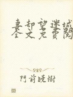 妻却望迷城沈莹全文免费阅读笔趣阁