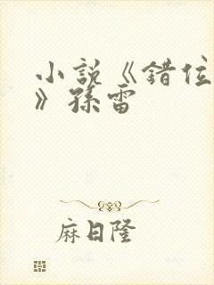 小说《错位关系》孙雷