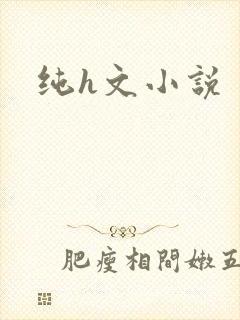 纯h文小说