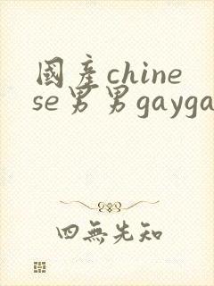 国产chinese男男gaygay无套网站