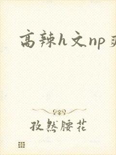 高辣h文np爽