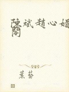 陈斌赵心媚笔趣阁