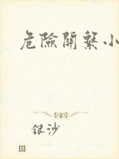 危险关系小说封面