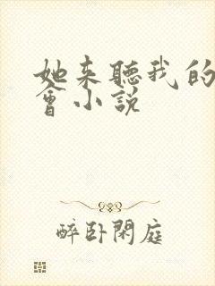 她来听我的演唱会小说