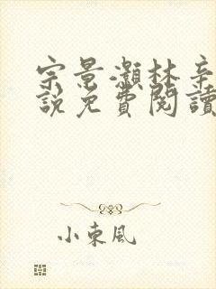 宗景灏林辛言小说免费阅读大结局