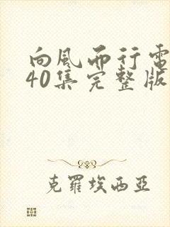 向风而行电视剧40集完整版