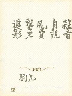 追击风月杀手电影免费观看完整版封面