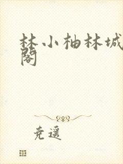 林小柚林城笔趣阁封面