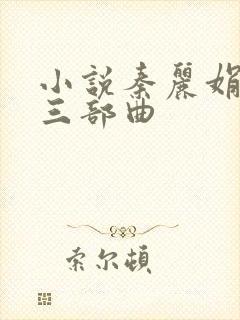 小说秦丽娟外传三部曲