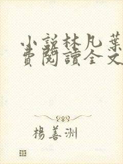 小说林凡叶惜免费阅读全文最新