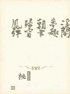 凤归朝梦溪石无弹窗笔趣阁