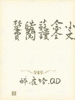 楚皓苏念小说免费阅读全文最新