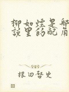 柳如烟是哪本小说里的配角