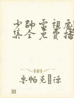 少帅电视剧48集全免费播放